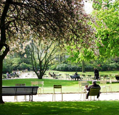 Balades estivales à Saint-Germain-des-Prés : un été parisien inoubliable